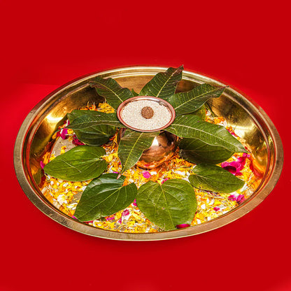 12 Mukhi Rudraksha Abhimantrit