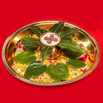7 Mukhi Rudraksha Abhimantrit