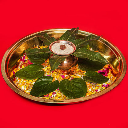 8 Mukhi Rudraksha Abhimantrit